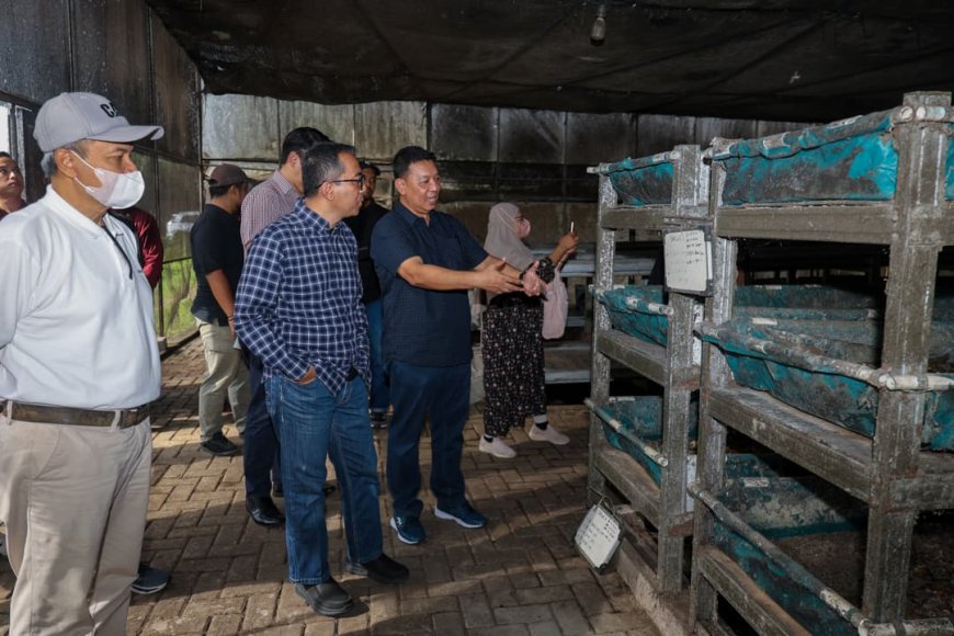 Mendiktisaintek Dorong Kampus Nilai Pengelolaan Sampah Berbasis Maggot