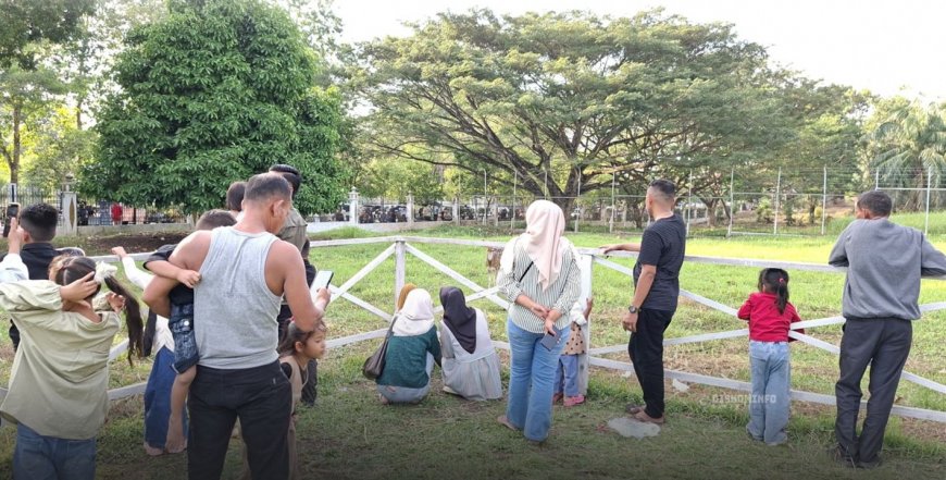 Libur Lebaran, Hutan Kota dan Taman Rusa Rohul Diserbu Warga, UMKM Ikut Terdongkrak