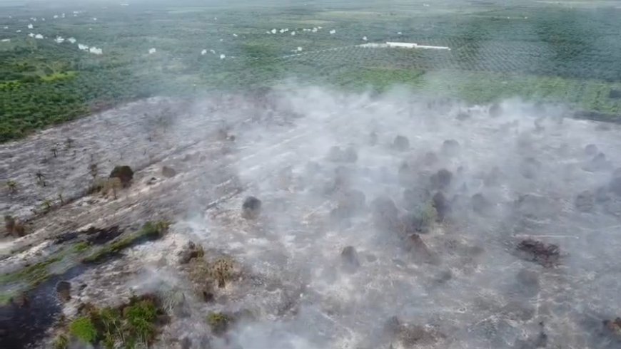 Data BMKG, 229 Hotspot Muncul di Riau Saat Hujan Terus Turun