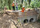 Jalan Produksi Jadi Kunci Sawit Rakyat, Pemkab Kampar Tegaskan Dampak Besar ke Ekonomi