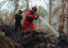 Hari Keenam Karhutla Riau, Tim Fokus Pukul Kepala Api dan Andalkan Water Bombing