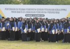 Pemprov Riau Larang PHK PPPK, Plt Gubri Siapkan Surat Edaran ke Daerah