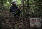70 Persen Burung Sitaan Berasal dari Sumatra, Perburuan Liar Dipicu Pasar dan Budaya