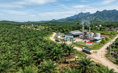 Ancaman Krisis Energi, Stok BBM RI Diprediksi Hanya Bertahan 22 Hari Tanpa Pasokan