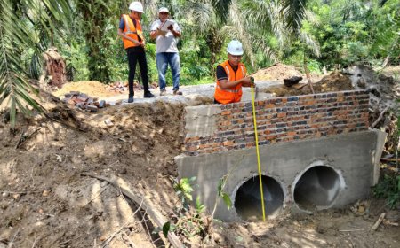 Jalan Produksi Jadi Kunci Sawit Rakyat, Pemkab Kampar Tegaskan Dampak Besar ke Ekonomi