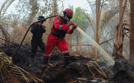 Hari Keenam Karhutla Riau, Tim Fokus Pukul Kepala Api dan Andalkan Water Bombing