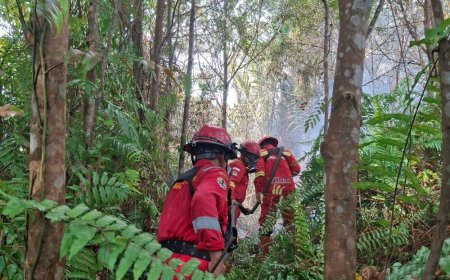 Karhutla Bengkalis Meluas, Pemadaman Diperkuat Empat Regu dan Water Bombing