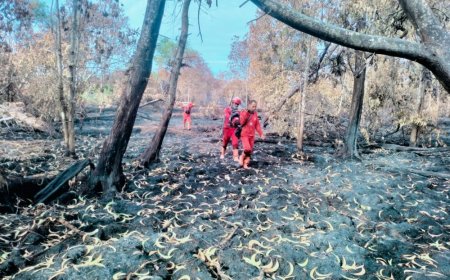 Karhutla di Desa Sekodi Padam Total, di Kelemantan Barat Masih Membara