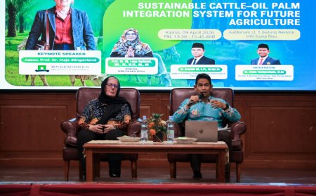 UIN Suska Riau Gandeng Akademisi Belanda, Dorong Integrasi Sawit dan Sapi Berbasis Pertanian Berkelanjutan