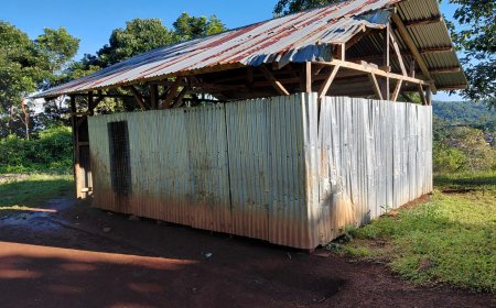 Revitalisasi SD Negeri Tando di NTT Diprioritaskan