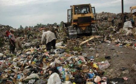PSEL Terkendala Sampah Basah, Guru Besar UGM Soroti Pentingnya Pemilahan dari Hulu