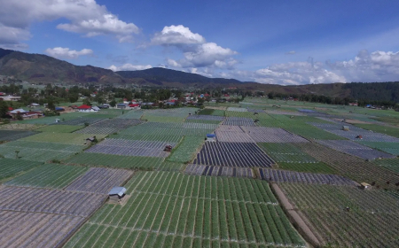 BRIN Susun Pola Tanam Adaptif Hadapi El Niño dan La Niña