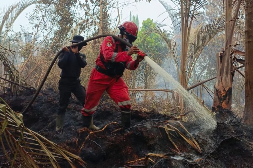Hari Keenam Karhutla Riau, Tim Fokus Pukul Kepala Api dan Andalkan Water Bombing