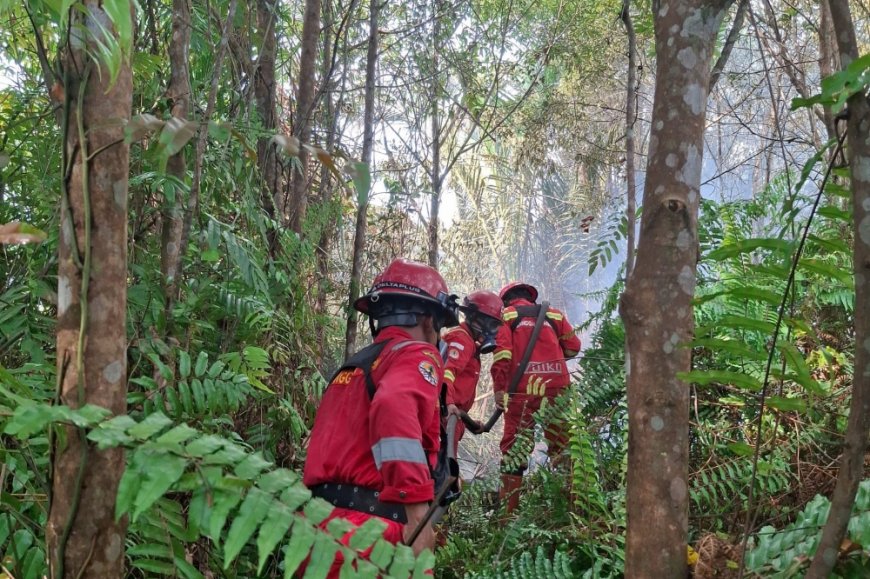 Karhutla Bengkalis Meluas, Pemadaman Diperkuat Empat Regu dan Water Bombing