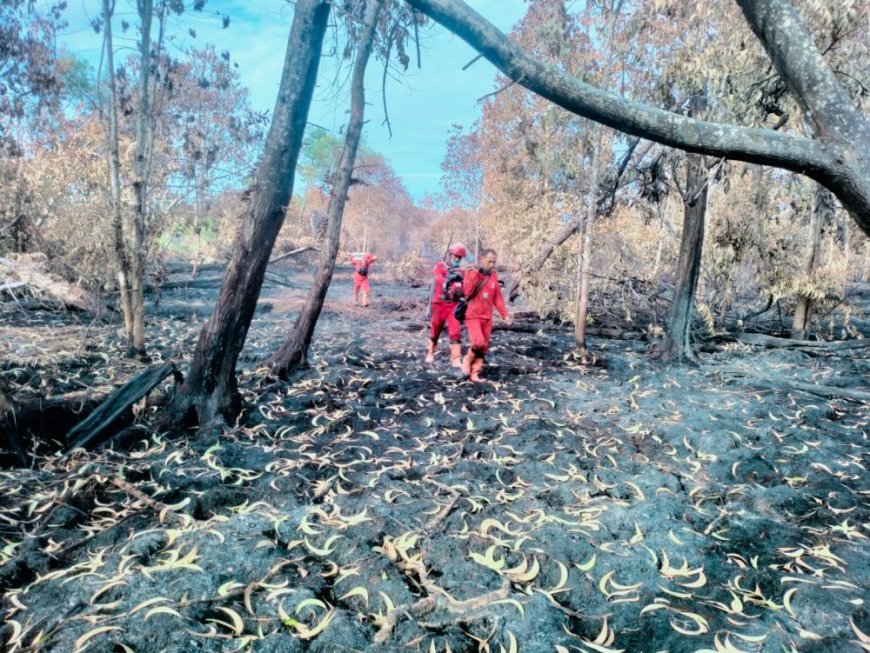Karhutla di Desa Sekodi Padam Total, di Kelemantan Barat Masih Membara