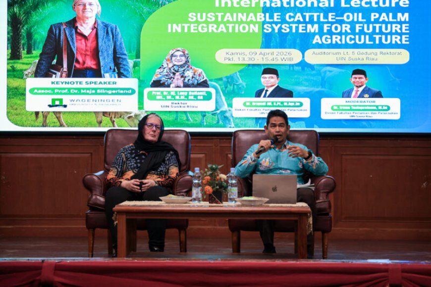 UIN Suska Riau Gandeng Akademisi Belanda, Dorong Integrasi Sawit dan Sapi Berbasis Pertanian Berkelanjutan