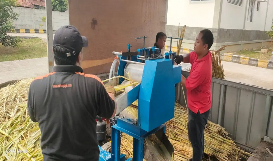 BRIN Kembangkan Mesin Pengolah Gula Semut dari Sorgum