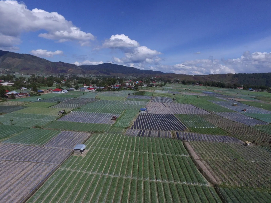 BRIN Susun Pola Tanam Adaptif Hadapi El Niño dan La Niña