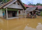 Banjir Luapan Sungai Kuantan Rendam 526 Rumah di Kuansing, BPBD Minta Warga Tetap Waspada