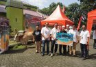 Telkomsel Salurkan 10 Sapi dan 100 Kambing Kurban di Sumatera pada Iduladha 1447 H