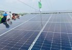 Teknologi Panel Surya Ubah Nasib Petani Krandegan, Panen Padi Kini Tiga Kali Setahun