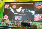 Indonesia Masih Simpan Banyak Spesies Flora Baru yang Belum Teridentifikasi