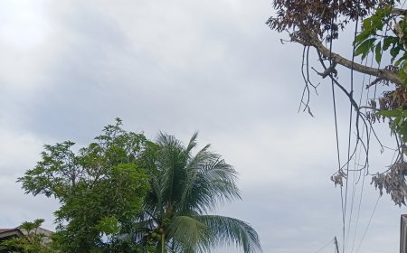 BMKG: Cuaca Riau Relatif Kondusif Hari Ini, Nihil Peringatan Dini