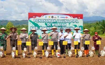 Rohul Garap 151 Hektare Lahan Jagung, Bupati Anton dan Wakapolda Riau Turun Langsung Menanam