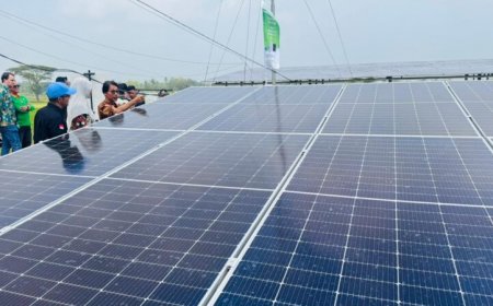 Teknologi Panel Surya Ubah Nasib Petani Krandegan, Panen Padi Kini Tiga Kali Setahun