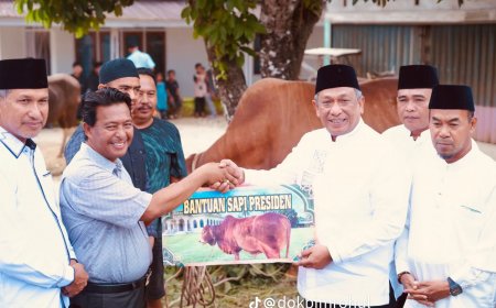 Pemkab Rohul Salurkan 81 Sapi Kurban ke Masjid, Bantuan Presiden Diserahkan Bupati