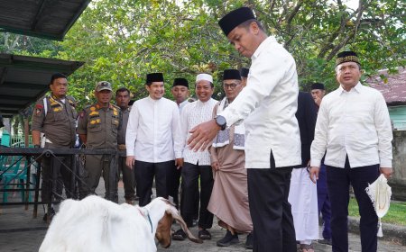 Usai Salat Iduladha, Bupati Kampar Tinjau Posko Penyembelihan Hewan Kurban