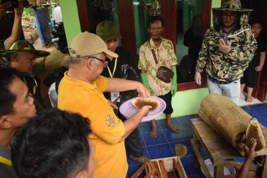 UGM Soroti Rendahnya Literasi Deteksi Madu Palsu di Tengah Meningkatnya Konsumsi Madu