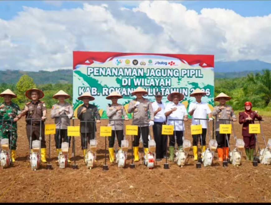 Rohul Garap 151 Hektare Lahan Jagung, Bupati Anton dan Wakapolda Riau Turun Langsung Menanam