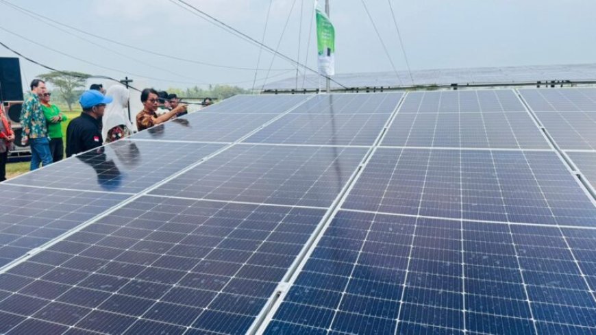 Teknologi Panel Surya Ubah Nasib Petani Krandegan, Panen Padi Kini Tiga Kali Setahun