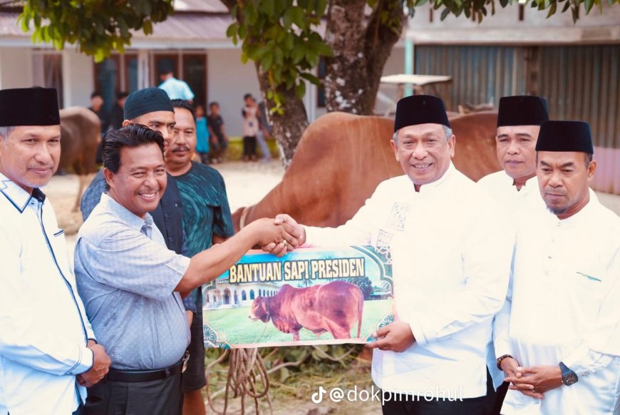 Pemkab Rohul Salurkan 81 Sapi Kurban ke Masjid, Bantuan Presiden Diserahkan Bupati