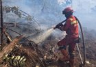 Kolaborasi Darat dan Udara Percepat Pengendalian Karhutla di Bengkalis dan Rohil