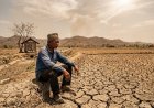 Waspada Kekeringan, El Nino Diprediksi Muncul Juli-September 2026