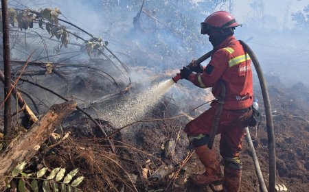 Kolaborasi Darat dan Udara Percepat Pengendalian Karhutla di Bengkalis dan Rohil