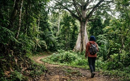 Healing Forest Bisa Kurangi Stres dan Jadi Sumber Ekonomi Baru