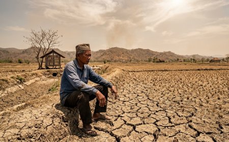 Waspada Kekeringan, El Nino Diprediksi Muncul Juli-September 2026