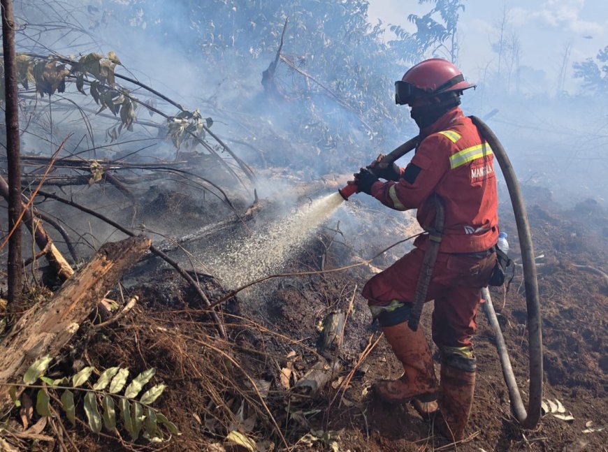 Kolaborasi Darat dan Udara Percepat Pengendalian Karhutla di Bengkalis dan Rohil