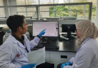BRIN Kembangkan Riset DNA untuk Identifikasi Korban, Forensik, hingga Kesehatan Mental
