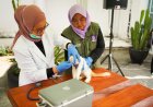 11 Daerah di Riau Masih Tertular Rabies, Pemprov Perkuat Vaksinasi