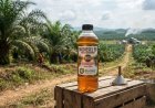 Akademisi : Diversifikasi Bahan Baku Jadi Kunci Keberlanjutan Program Biodiesel 50