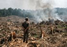 Krisis Lingkungan di Indonesia Berakar dari Krisis Moral Manusia