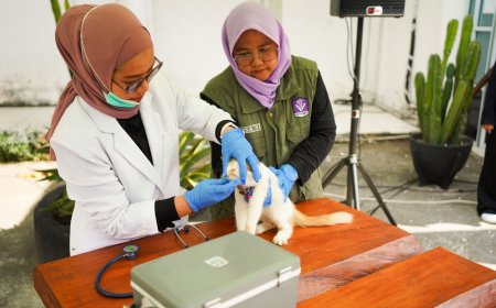 11 Daerah di Riau Masih Tertular Rabies, Pemprov Perkuat Vaksinasi