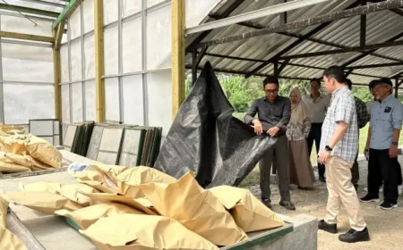 BRIN dan Pertamina Percepat Hilirisasi Drilling Starch Berbasis Sagu untuk Industri Migas