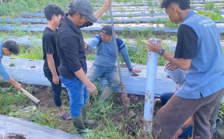 Mahasiswa KKN Unri di Desa Ketam Putih Bengkalis Kenalkan Biopori untuk Atasi Genangan di Lahan Cabai
