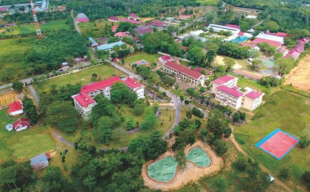 Universitas Pahlawan dan BRIN Siapkan Bukit Pantian Ragi Jadi Areal Preservasi