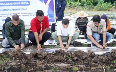 Polbeng Terapkan Teknologi IoT untuk Dukung Penanaman 12.000 Bibit Cabai di Bengkalis